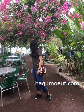 f:id:hagumo17:20190704173039j:plain f:id:hagumo17:20190704173039j:plain