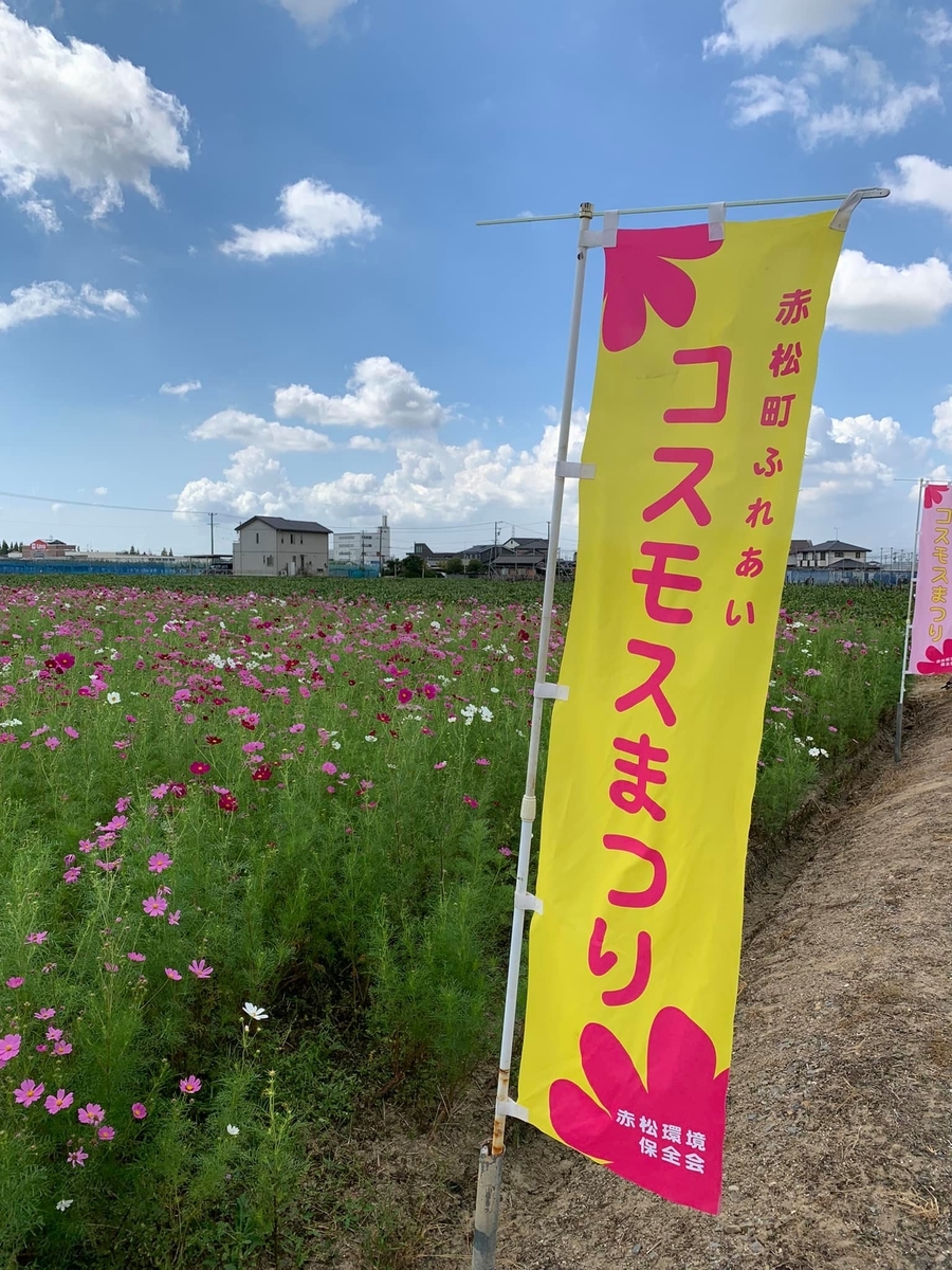 f:id:haguplus:20211016064804j:plain