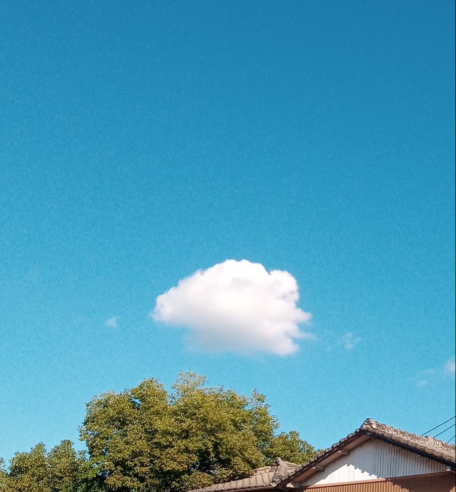 浮雲 - くんだら