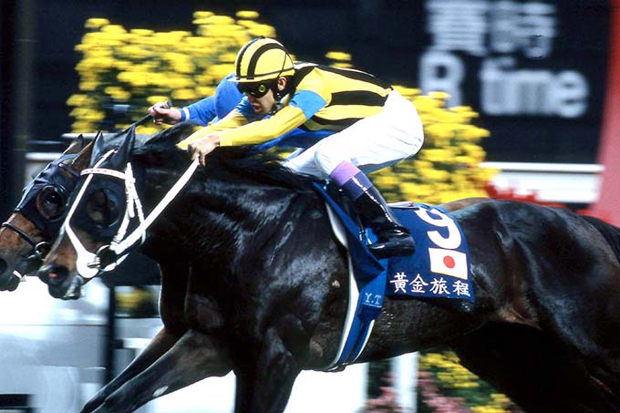 競馬ゼッケン　レプリカ　ステイゴールド　香港ヴァーズ優勝 馳星周の「黄金旅程」紹介 - はぐれの徒然なるままに（仮）