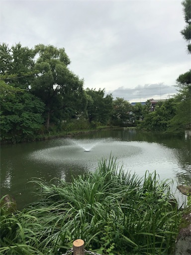 f:id:hah60580:20180708194742j:image