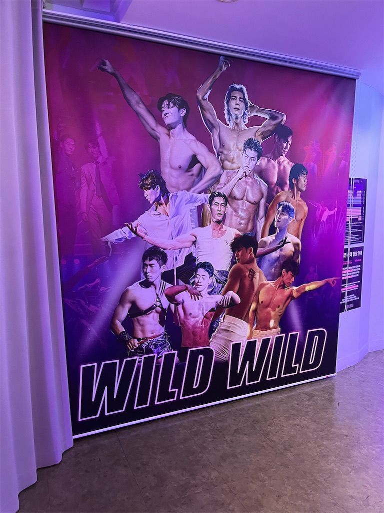 韓国TV史上初体験旅行記 2PM WILD BEAT 全巻 韓国・ソウル】WILD WILDめちゃ楽しかった（ソロ参加） - 好奇心旺盛な