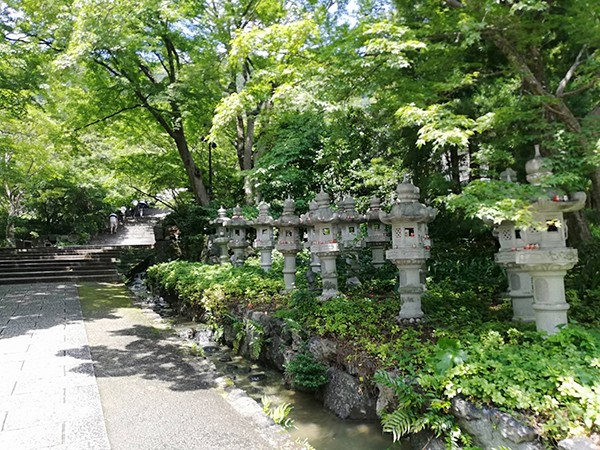 f:id:haha4351:20190818153934j:plain f:id:haha4351:20190818153934j:plain