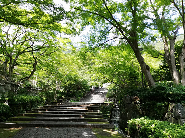 f:id:haha4351:20190818154402j:plain f:id:haha4351:20190818154402j:plain