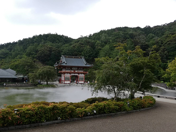 f:id:haha4351:20190818161745j:plain f:id:haha4351:20190818161745j:plain