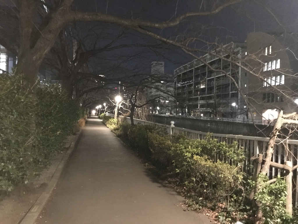 f:id:hahaeatora:20190116215710j:plain