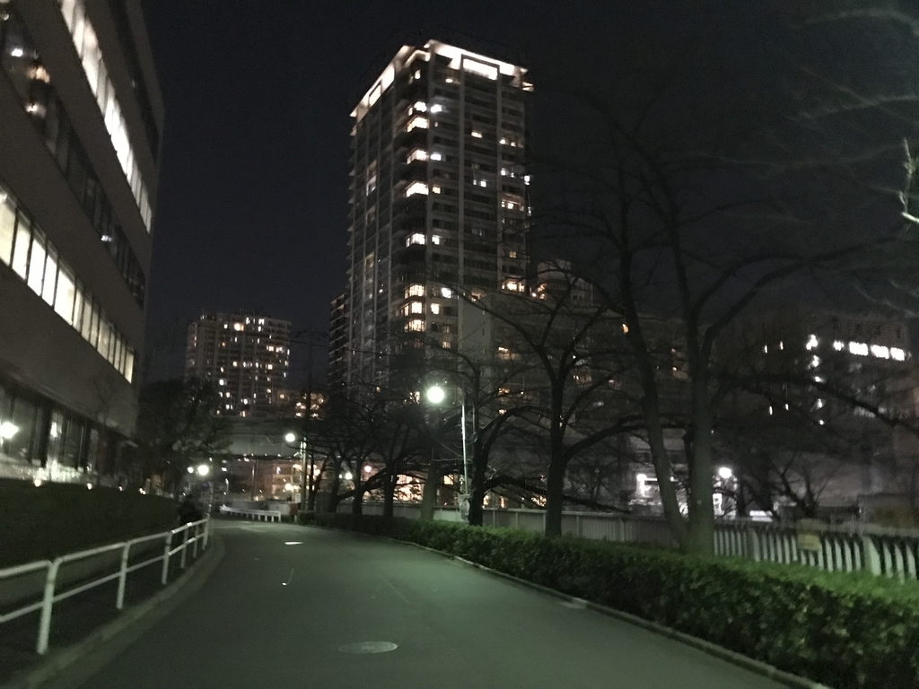 f:id:hahaeatora:20190116215928j:plain
