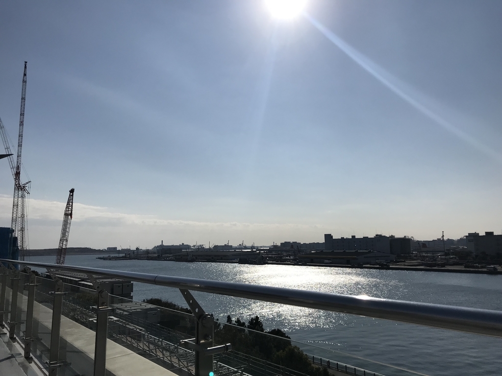 f:id:hahaeatora:20190122225601j:plain