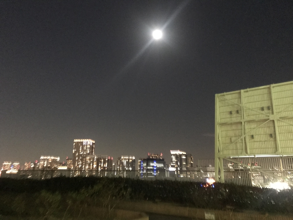 f:id:hahaeatora:20190211004058j:plain