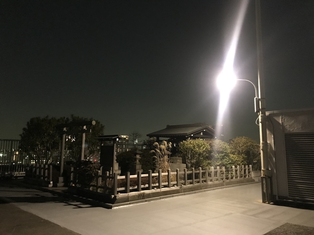 f:id:hahaeatora:20190211004406j:plain