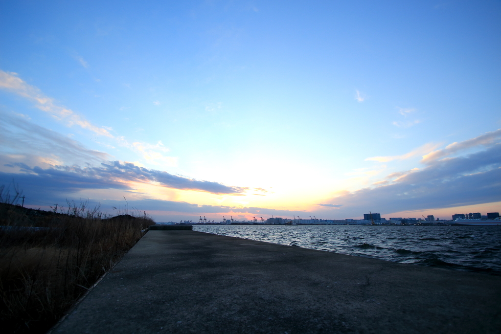 f:id:hahaeatora:20190309234354j:plain