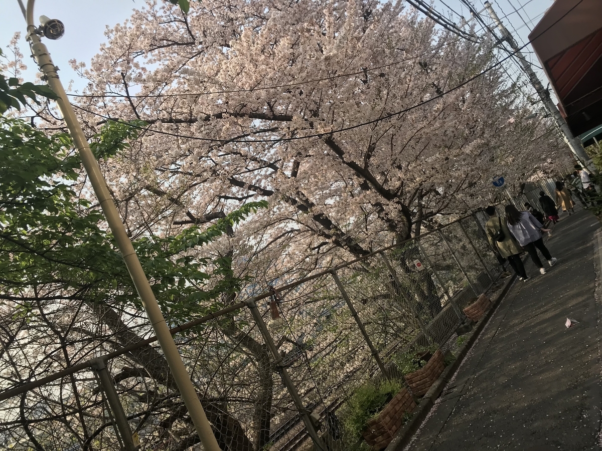 f:id:hahaeatora:20190413011638j:plain