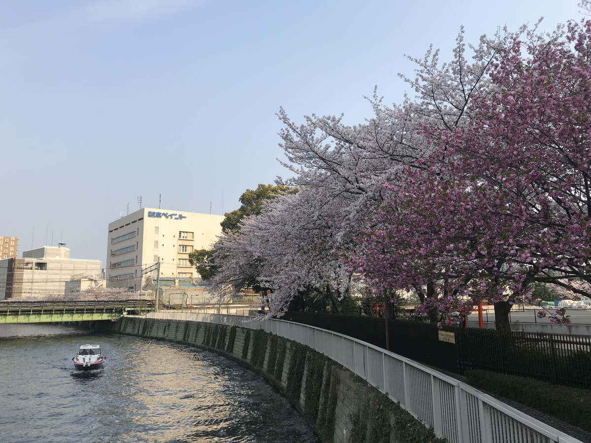 f:id:hahaeatora:20190413011736j:plain