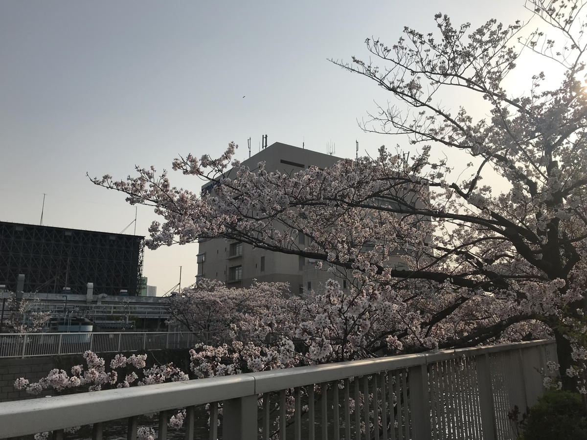 f:id:hahaeatora:20190413011950j:plain