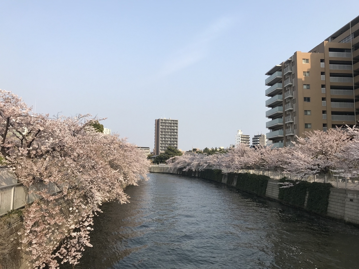 f:id:hahaeatora:20190413012046j:plain