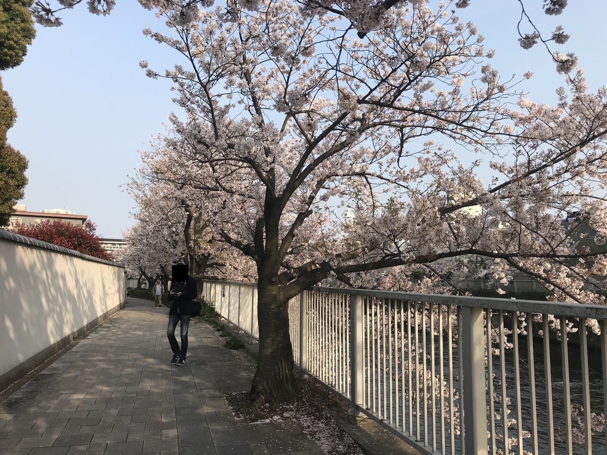 f:id:hahaeatora:20190413012126j:plain