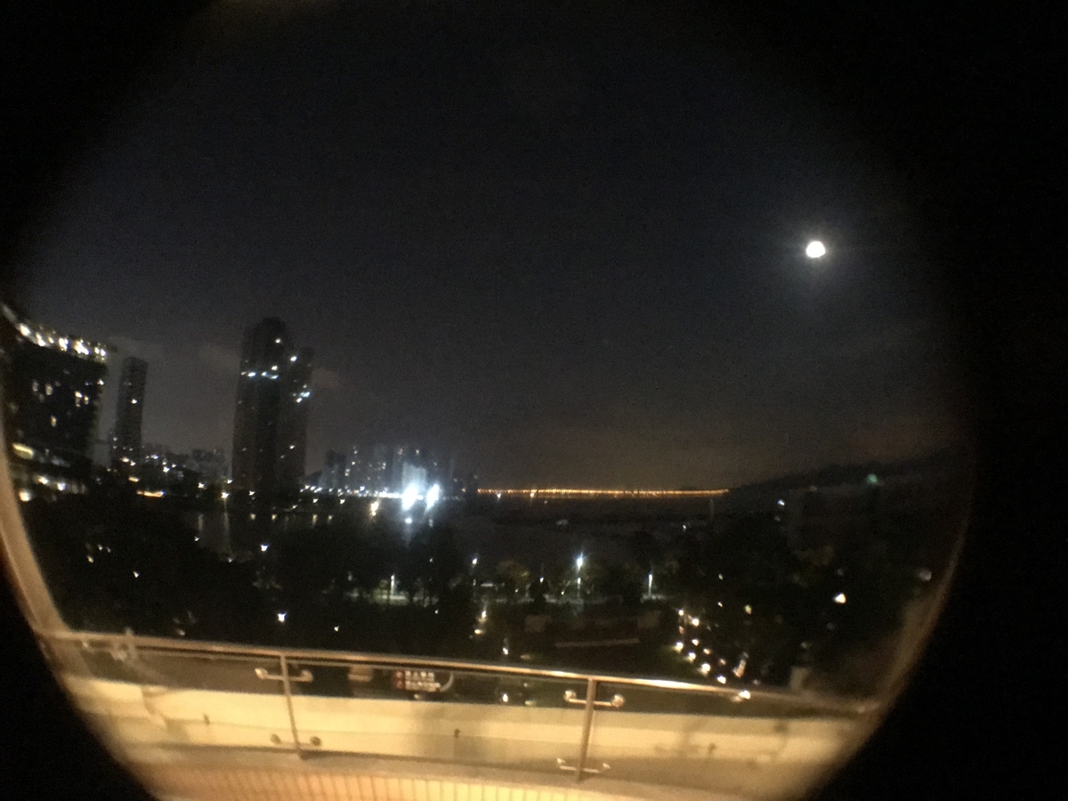 f:id:hahaeatora:20190502205009j:plain