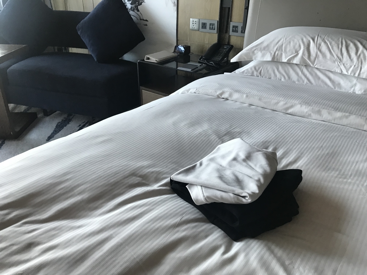 f:id:hahaeatora:20190502210425j:plain