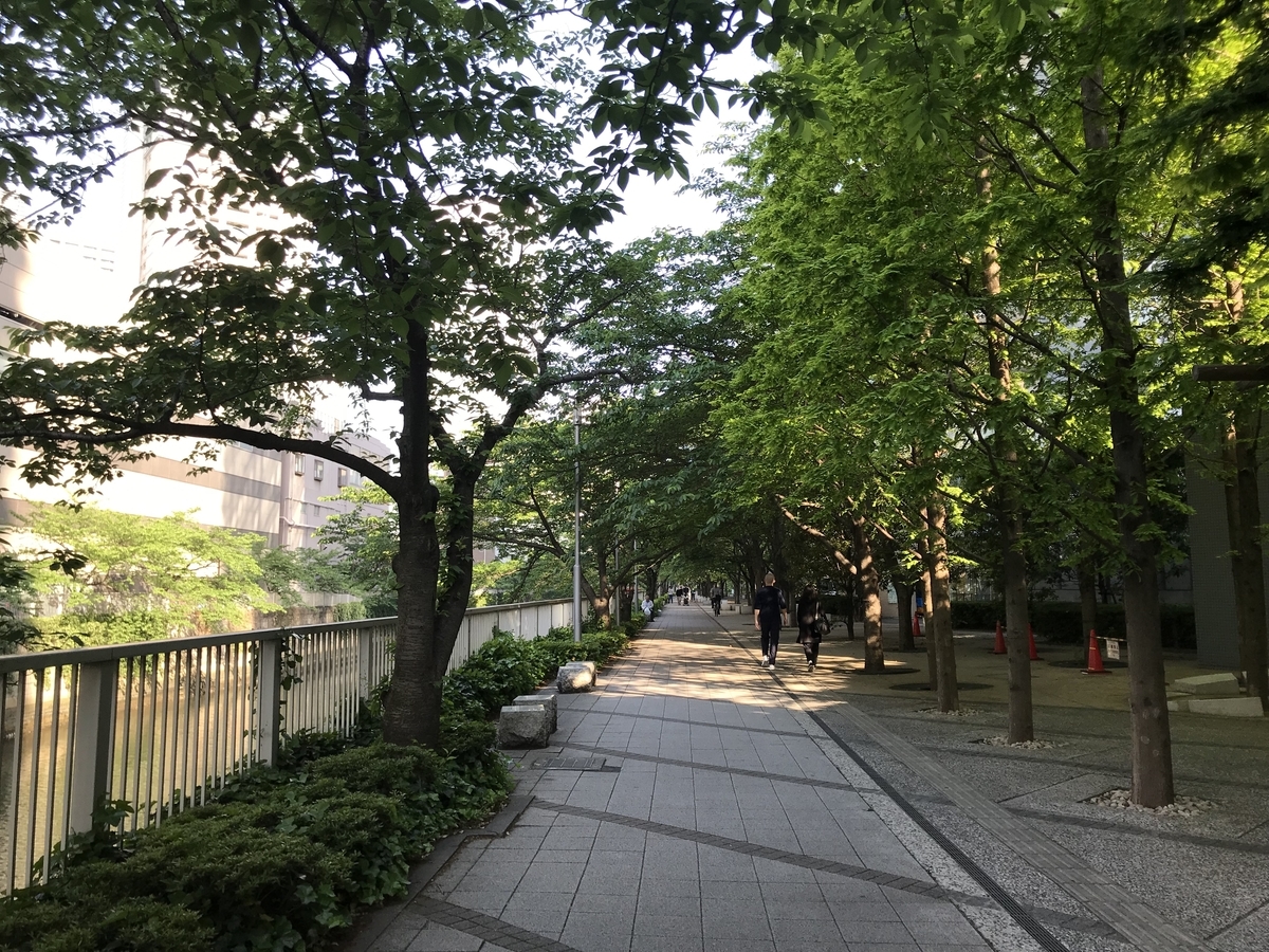 f:id:hahaeatora:20190526214124j:plain