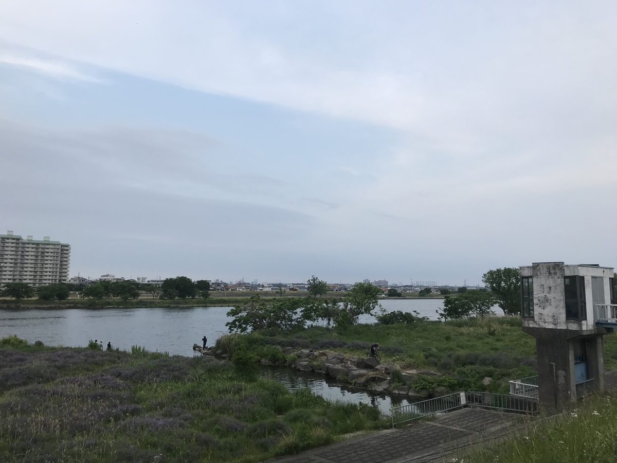 f:id:hahaeatora:20190526222024j:plain