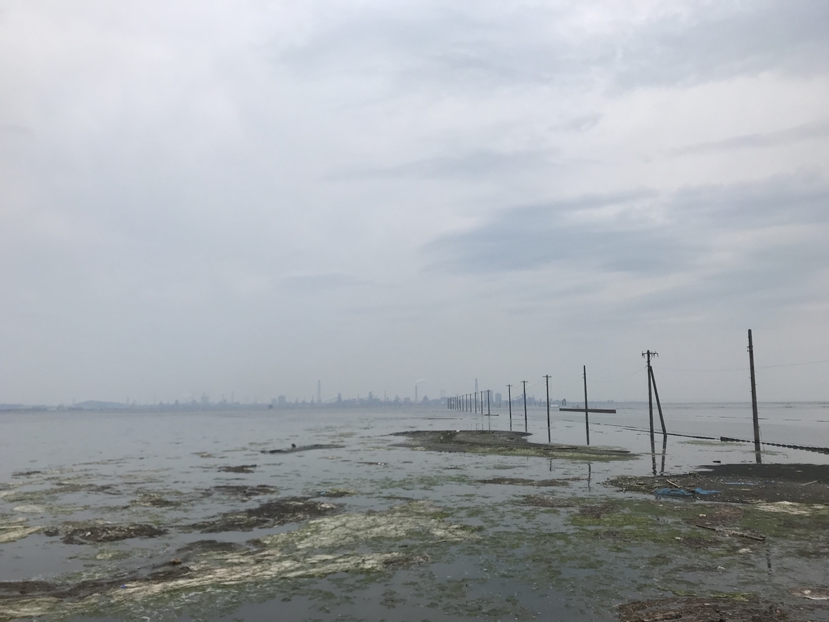 f:id:hahaeatora:20190610000409j:plain f:id:hahaeatora:20190610000409j:plain