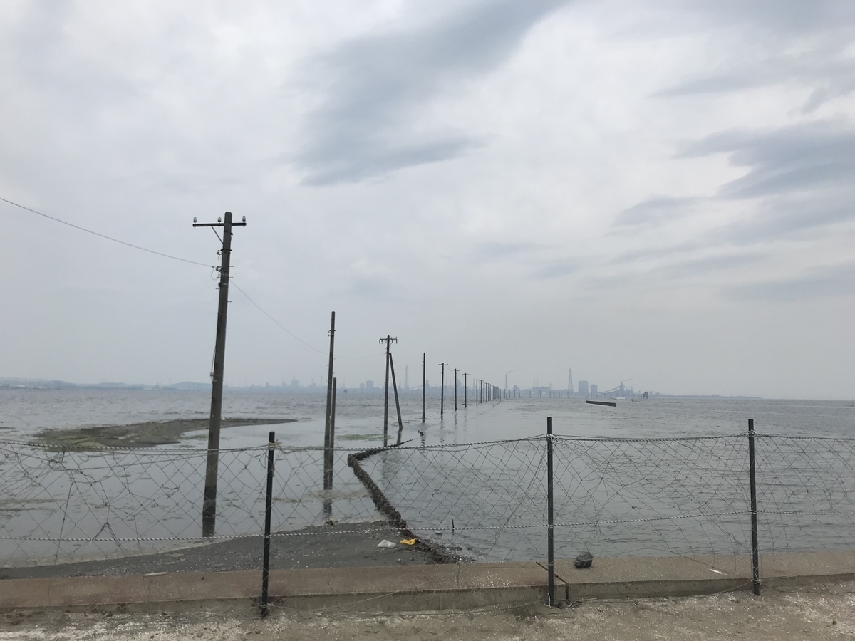 f:id:hahaeatora:20190610000505j:plain f:id:hahaeatora:20190610000505j:plain