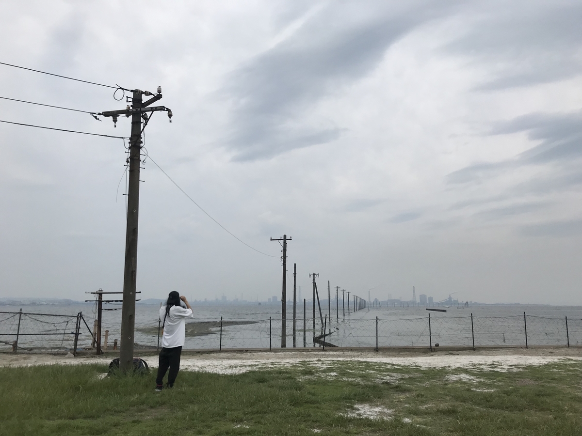 f:id:hahaeatora:20190610000543j:plain f:id:hahaeatora:20190610000543j:plain