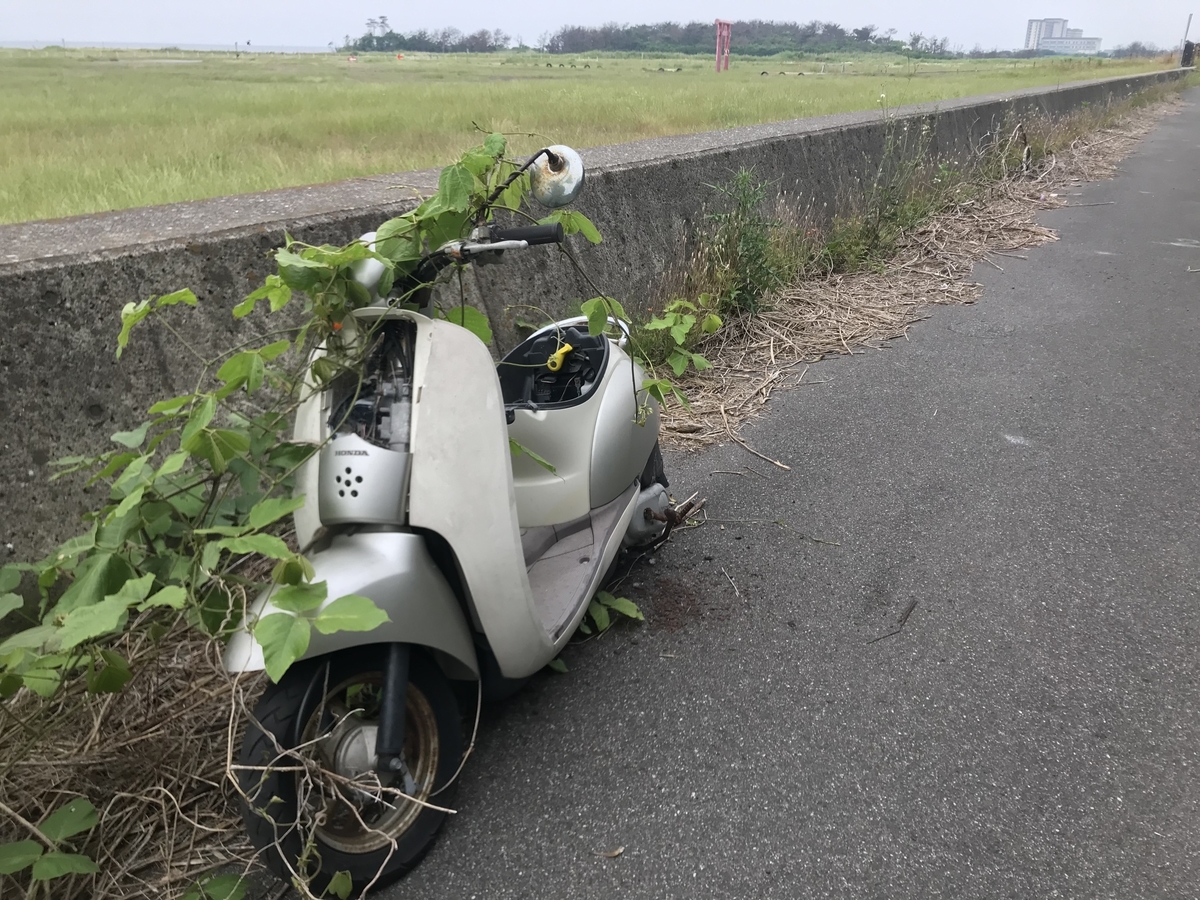 f:id:hahaeatora:20190610001624j:plain f:id:hahaeatora:20190610001624j:plain
