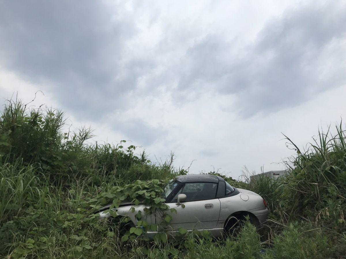 f:id:hahaeatora:20190610002035j:plain f:id:hahaeatora:20190610002035j:plain