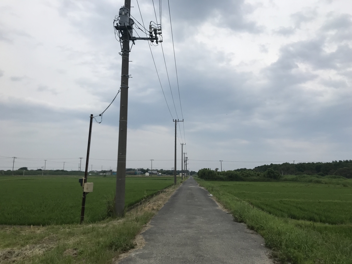 f:id:hahaeatora:20190610002409j:plain f:id:hahaeatora:20190610002409j:plain