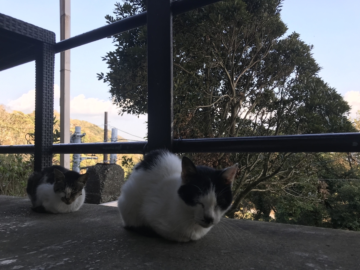 f:id:hahaeatora:20191005180550j:plain