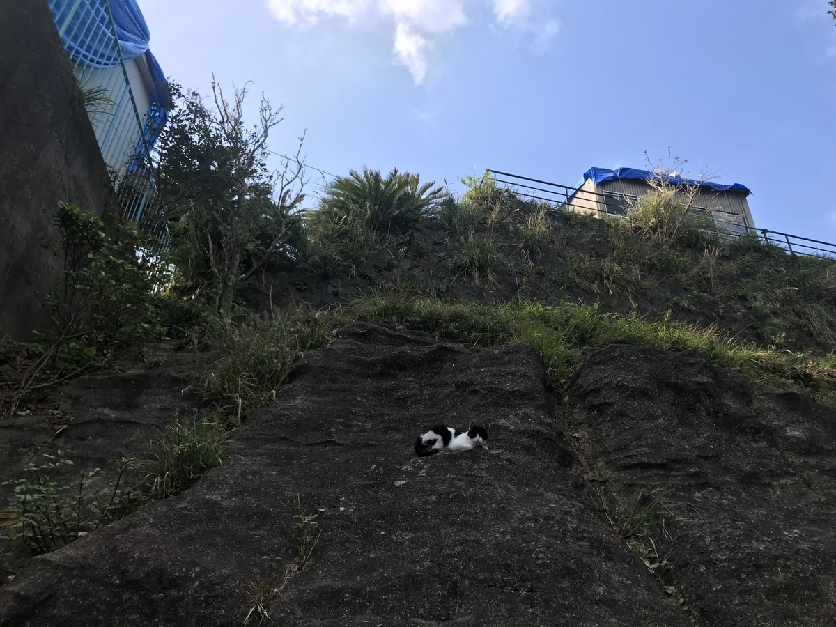 f:id:hahaeatora:20191005181127j:plain