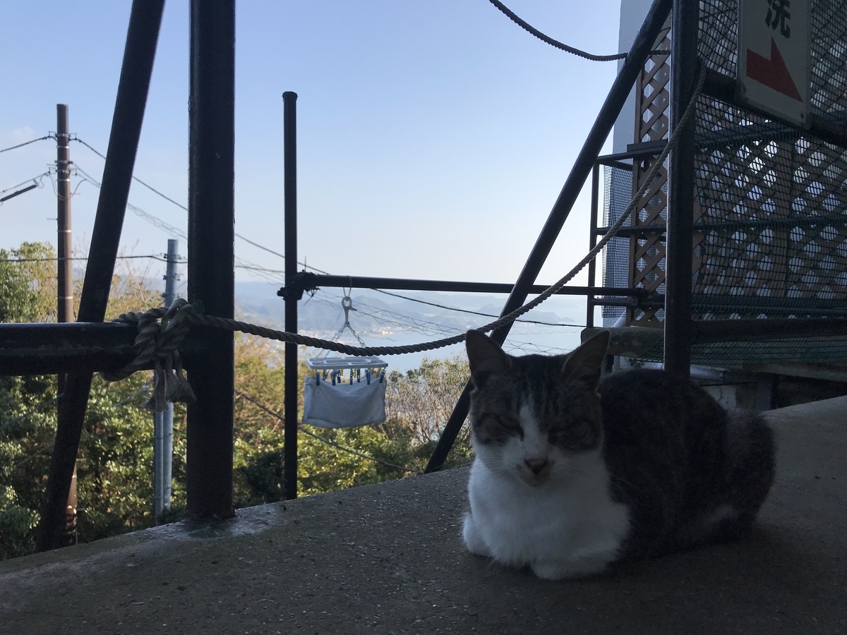 f:id:hahaeatora:20191005185209j:plain