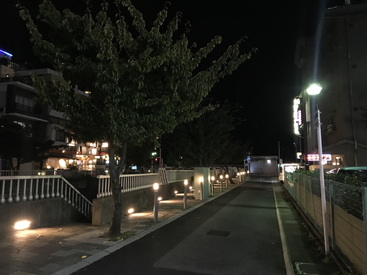 f:id:hahaeatora:20191102210535j:plain