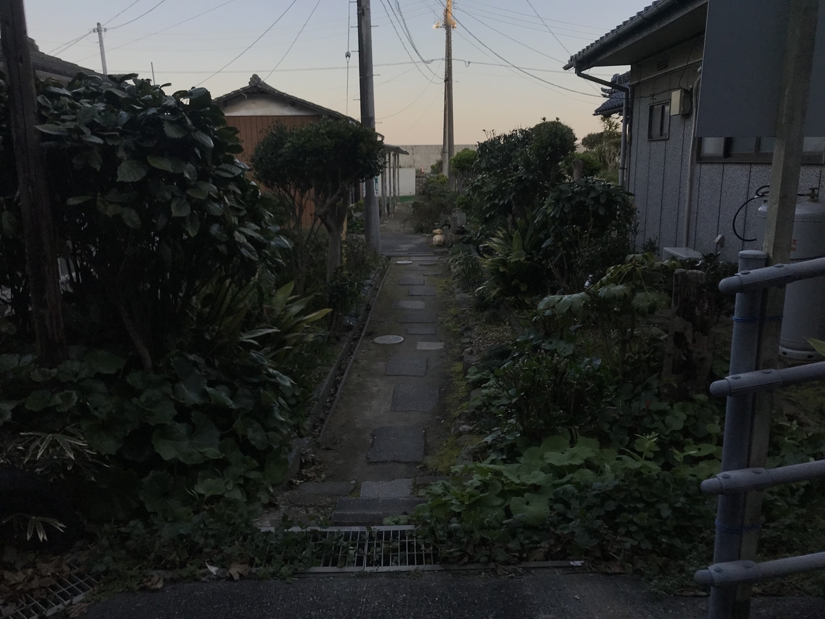f:id:hahaeatora:20200517004418j:plain
