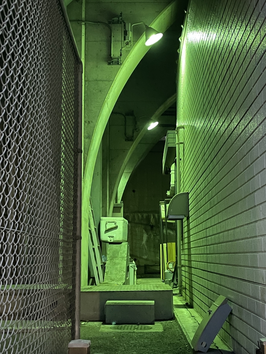 f:id:hahaeatora:20220120100207j:plain