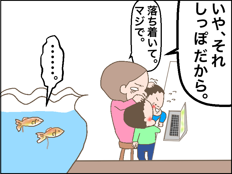 f:id:hahalife0:20161114173832p:plain