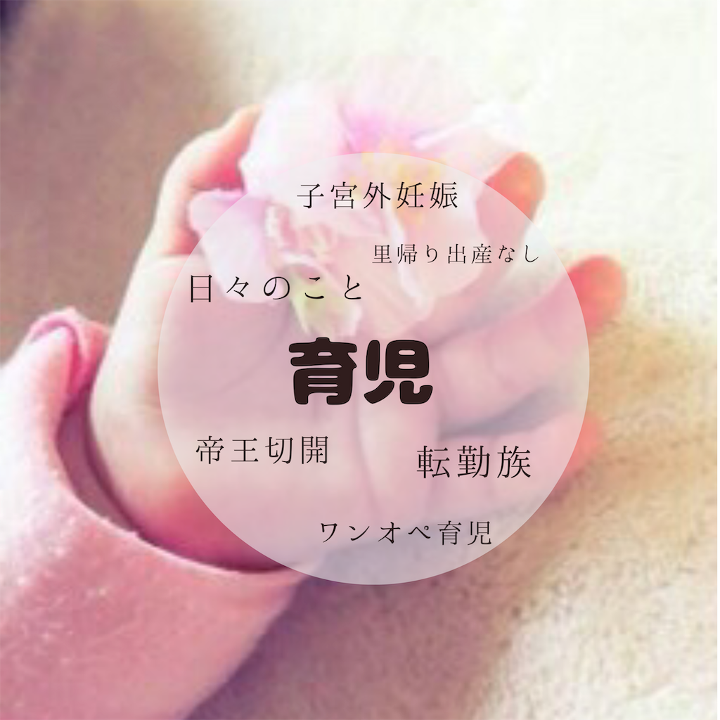f:id:hahasan0903:20190916025932p:plain