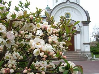 f:id:hahaten:20080507172059j:image:w230