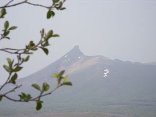 f:id:hahaten:20080507172101j:image:w230