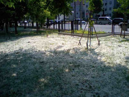 f:id:hahaten:20090630011246j:image:w230