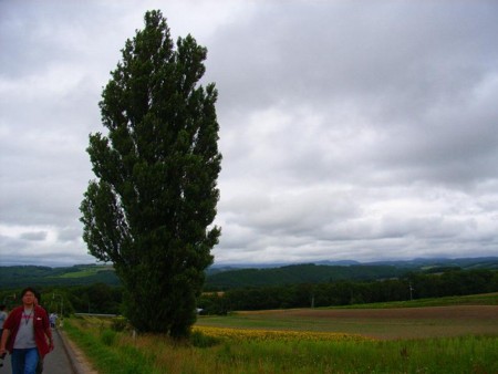 f:id:hahaten:20090816185050j:image:w180