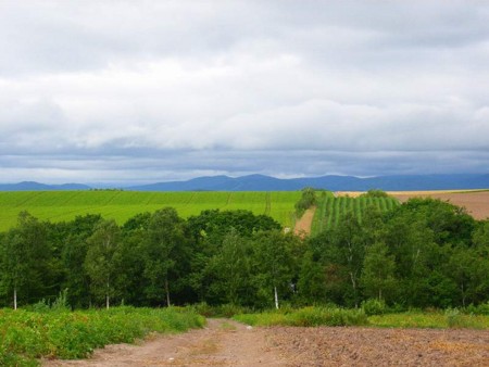 f:id:hahaten:20090816185055j:image:w180