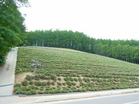 f:id:hahaten:20090816185103j:image:w180