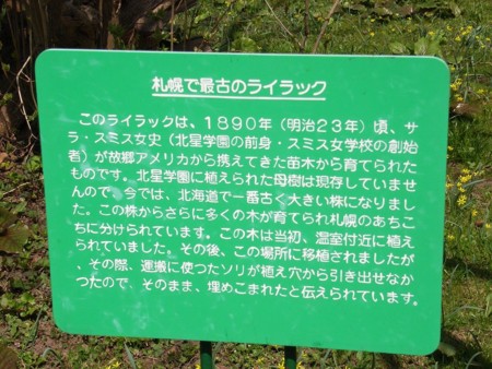 f:id:hahaten:20100504162911j:image:w230