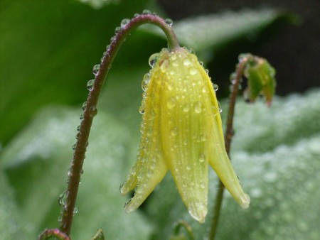 f:id:hahaten:20100513021824j:image:w230
