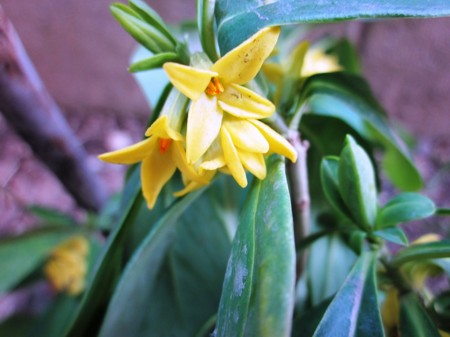 f:id:hahaten:20110420154855j:image:w230