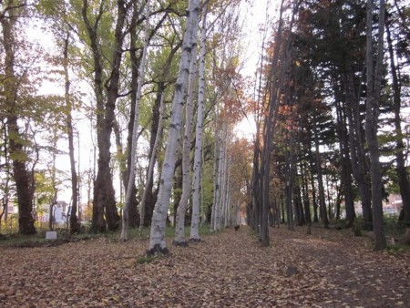 f:id:hahaten:20111103201028j:image:w260