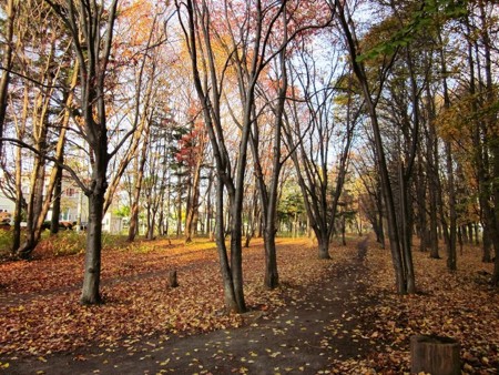 f:id:hahaten:20111103201029j:image:w260