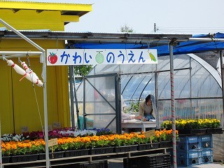 f:id:hahaten:20120521222950j:image:w260